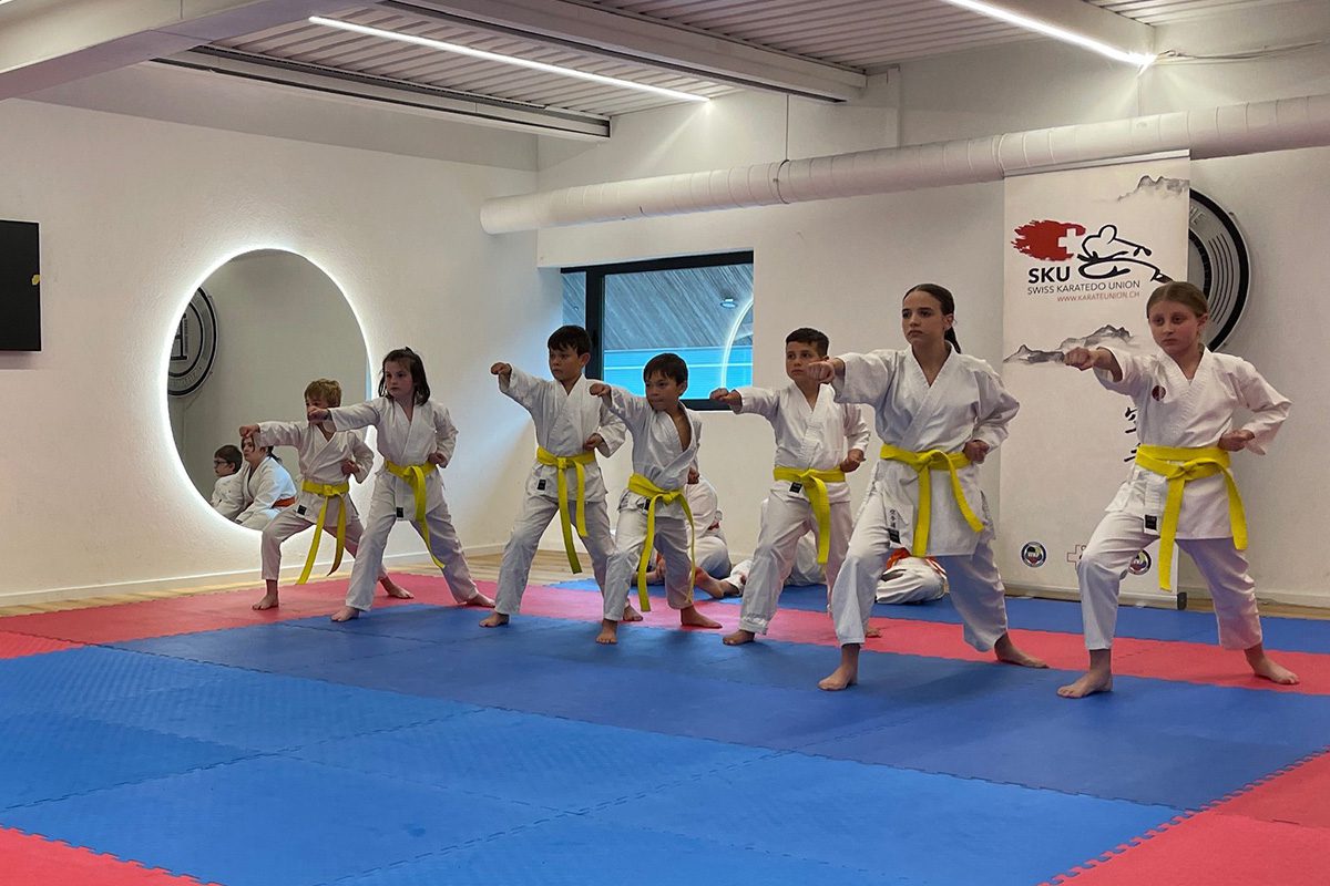 Shotokan Karaté Do Sion