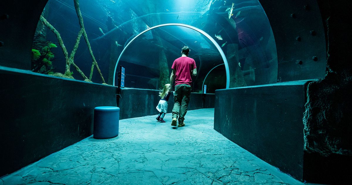 Aquatis Aquarium Vivarium à Lausanne