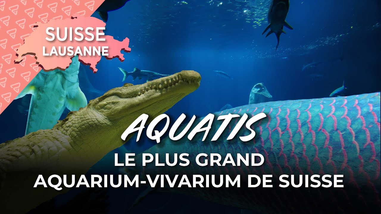 Aquatis Promotion exceptionnelle